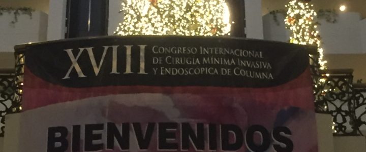 XVIII International Congress of Minimally Invasive & Endoscopic Surgery of the Spine