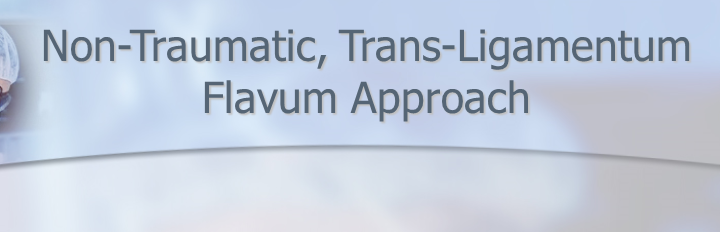 Dr Luis Lombardi- Non-Traumatic, Trans-Ligamentum Flavum Approach for L5/S1 Extruded Disc Herniations